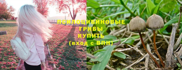 эйфоретик Кодинск