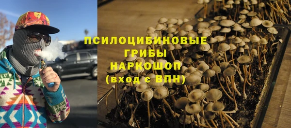 эйфоретик Кодинск